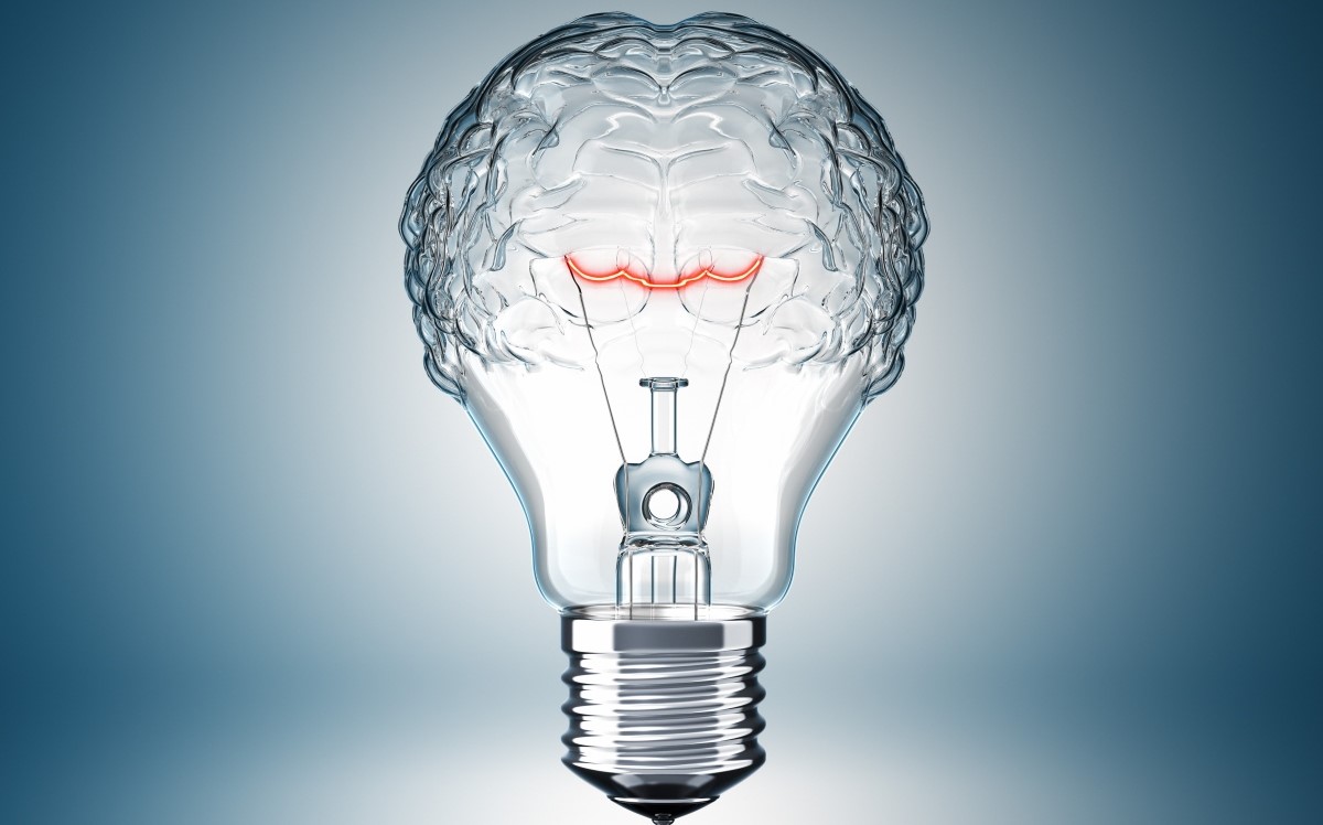 Lightbulb shaped like a brain