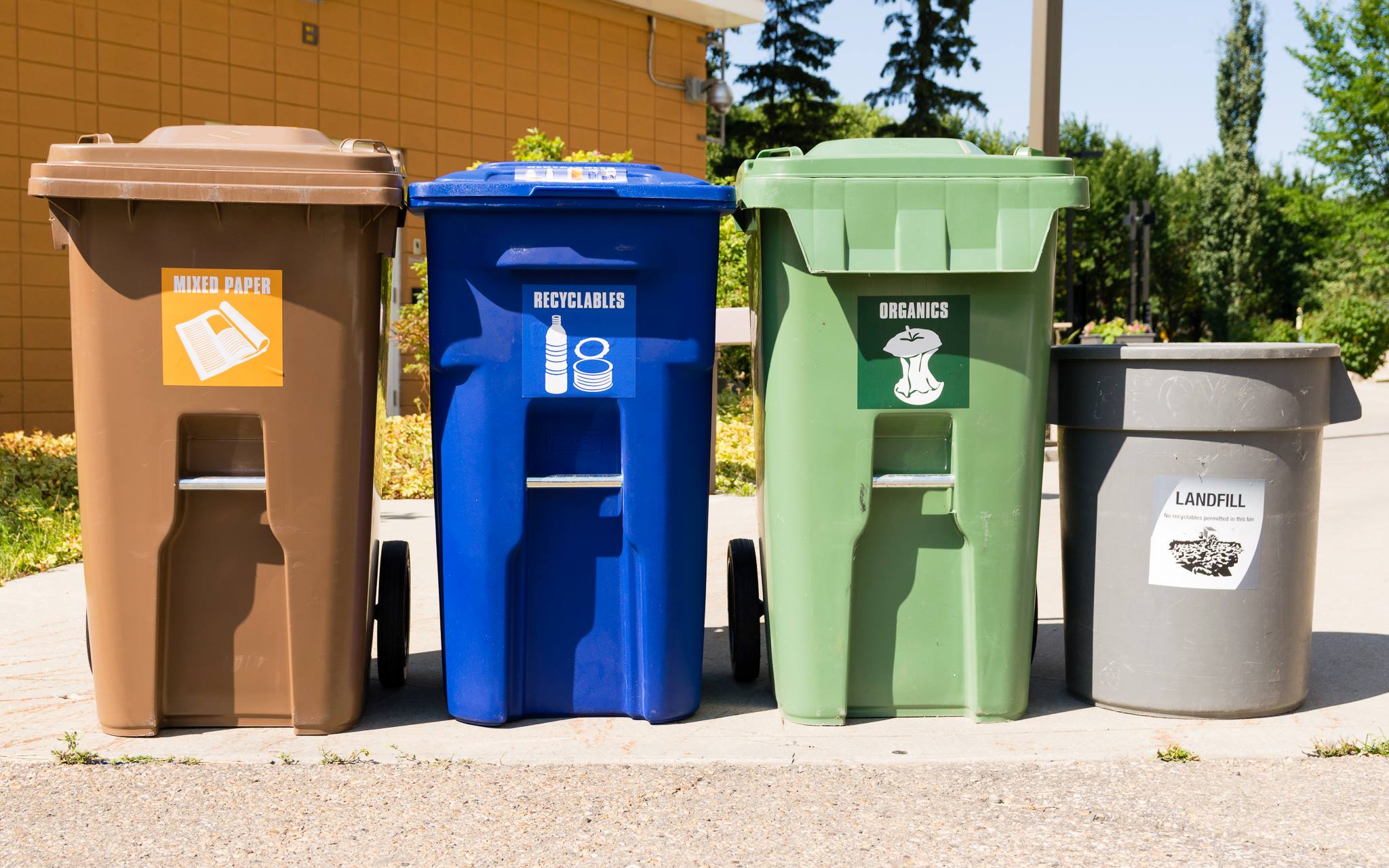 Rental bins on display.