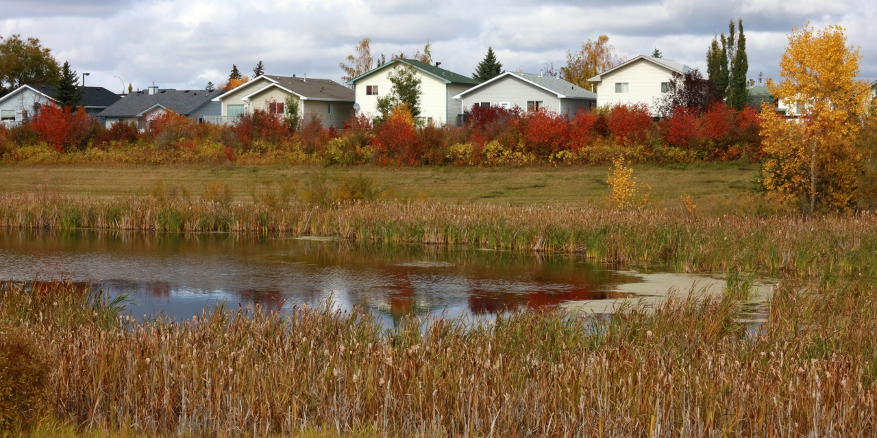 191203-biodiversity-municipalities-banner-543597.jpg