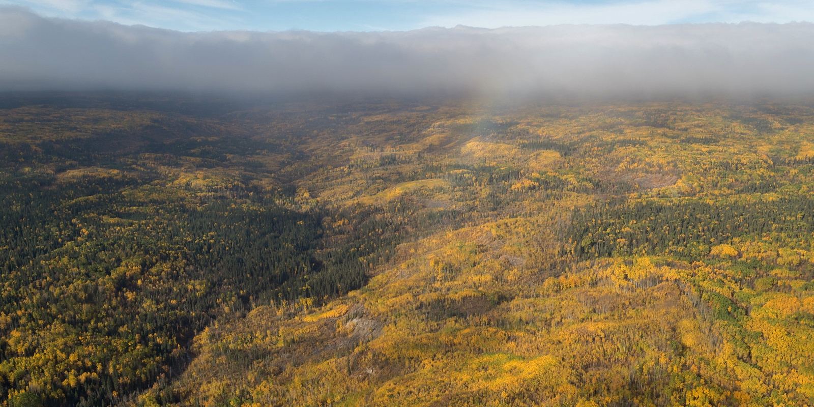 200423-oped-stralberg-mapping-banner.jpg