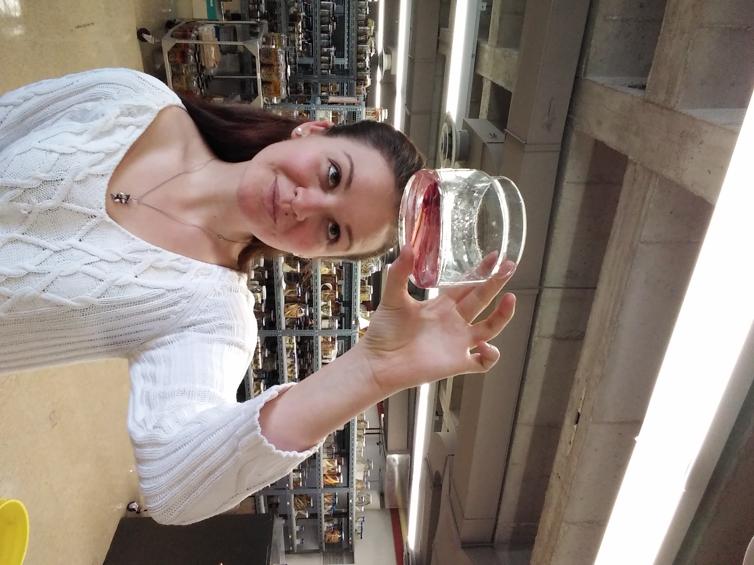 Oksana Vernygora holds a sample from the U of A's ichthyology collection. (Photo: Supplied)