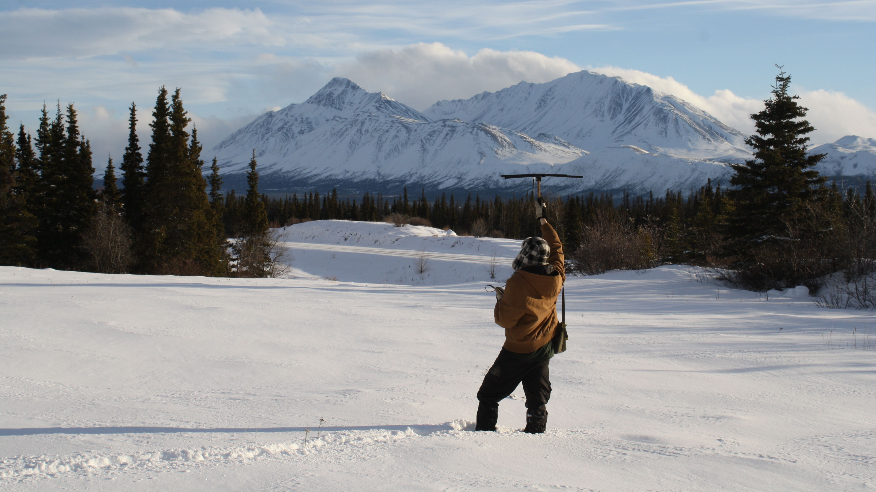 Michael Peers checking on radio-collared snowshoe hares