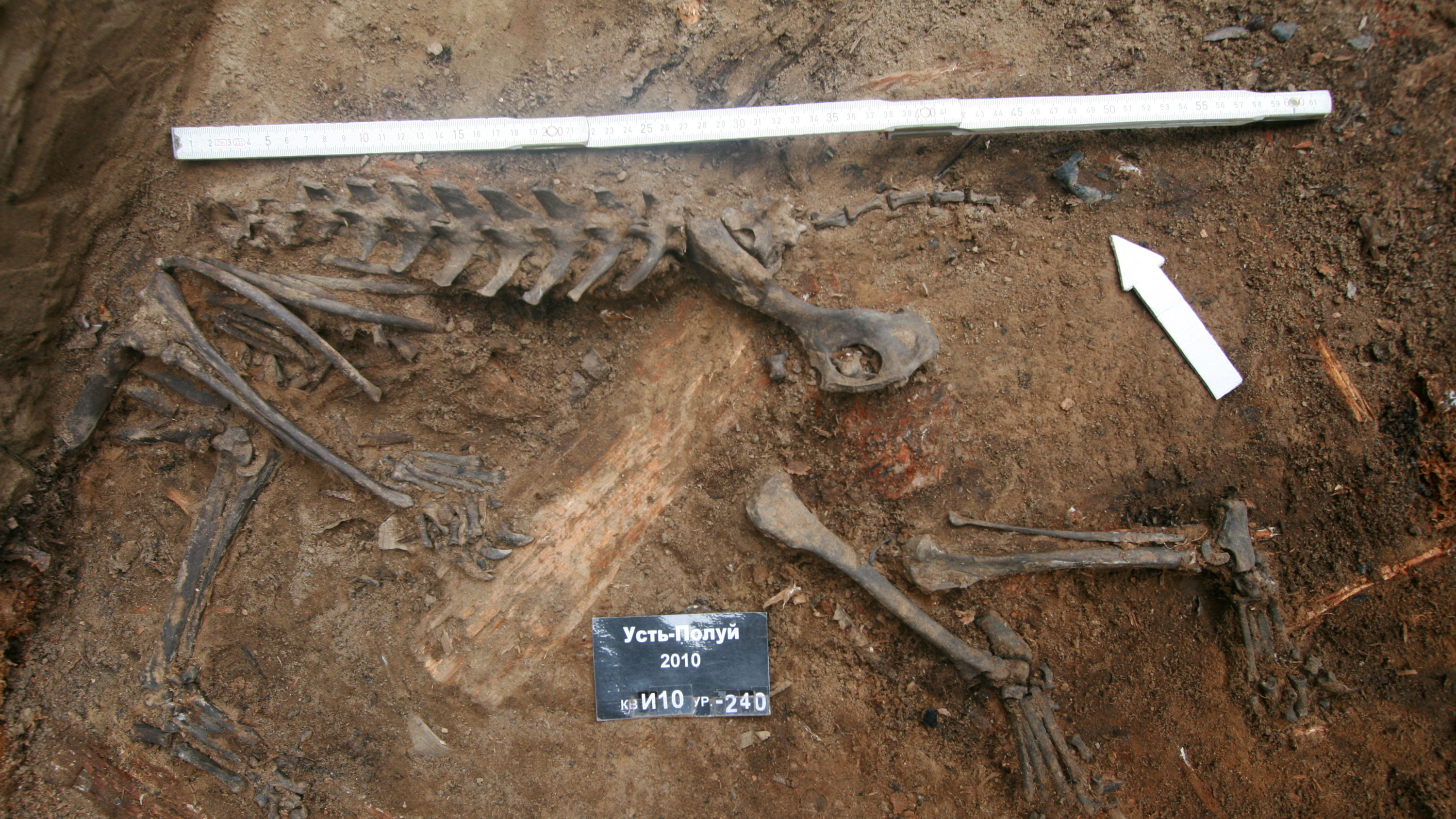 Figure 3 Burial Photo