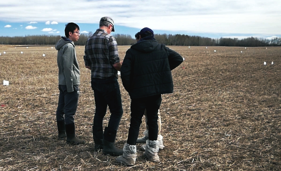 Derek MacKenzie (second left) and his U of A research team work in a grain field near Westlock, Alta. (Photo: Gateway Research Organization)