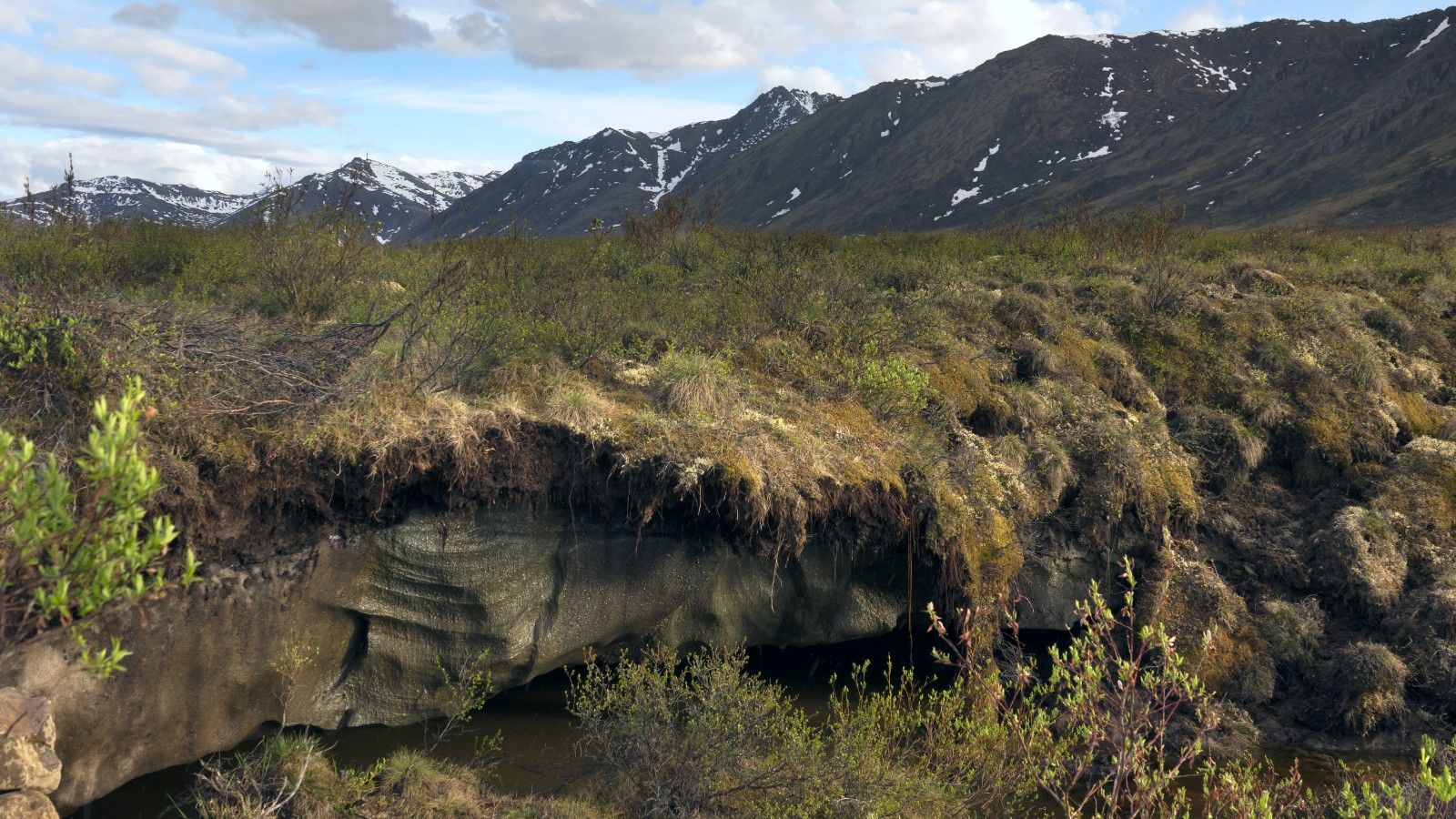 221017-permafrost-country-teaser-16x9-1600px.jpg