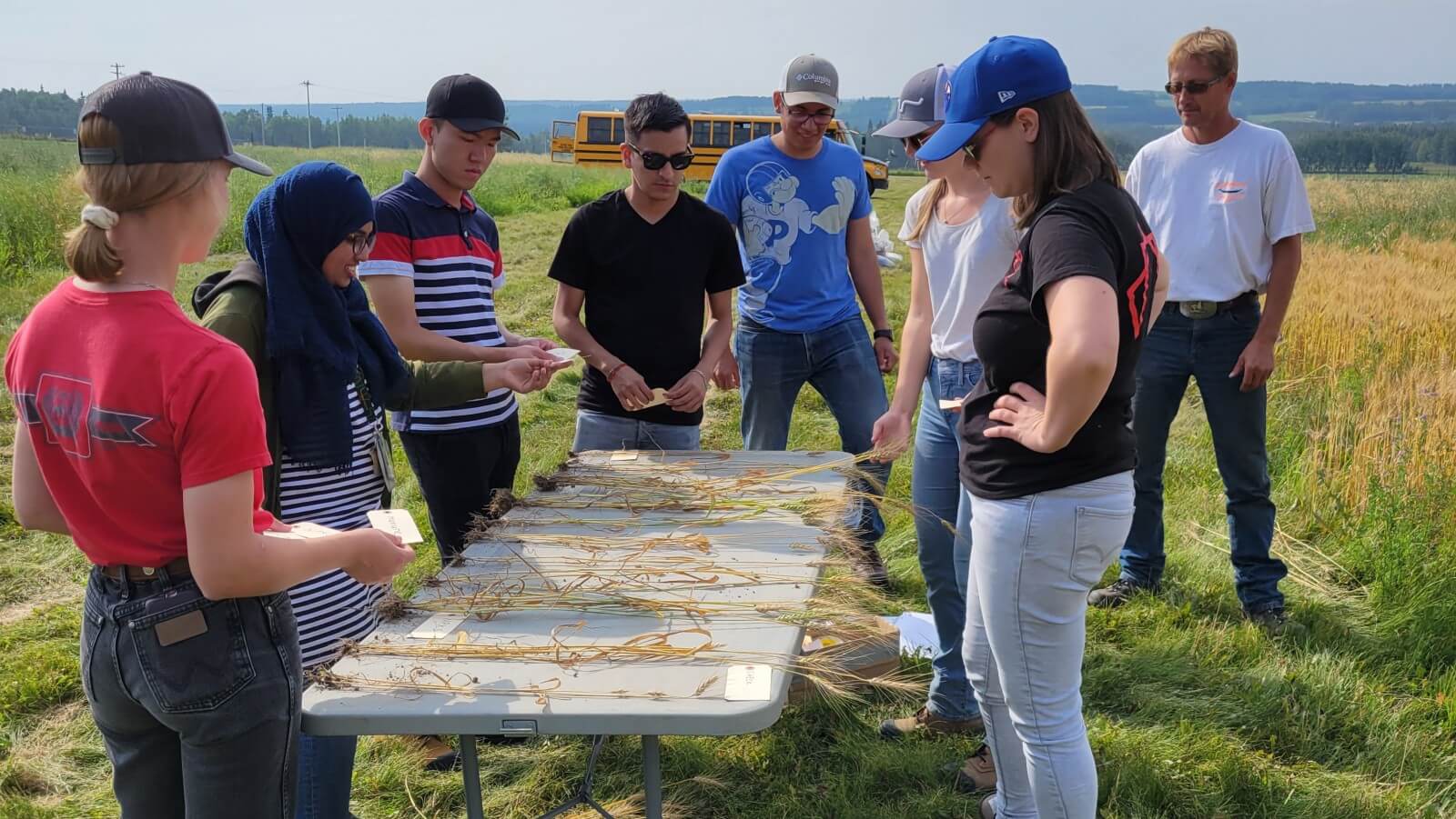 New agronomy courses let students dig into the science of prairie ...