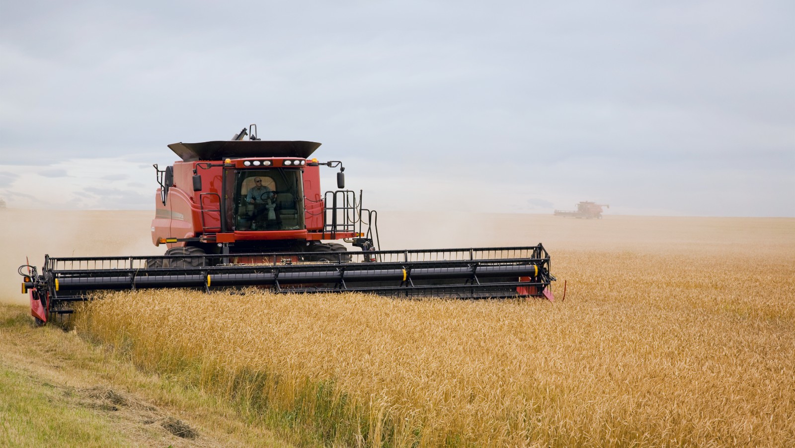 Local co-operatives — a common rural business model a century ago — could help create new economic opportunities for small communities in Alberta, according to U of A research. (Photo: Getty Images)