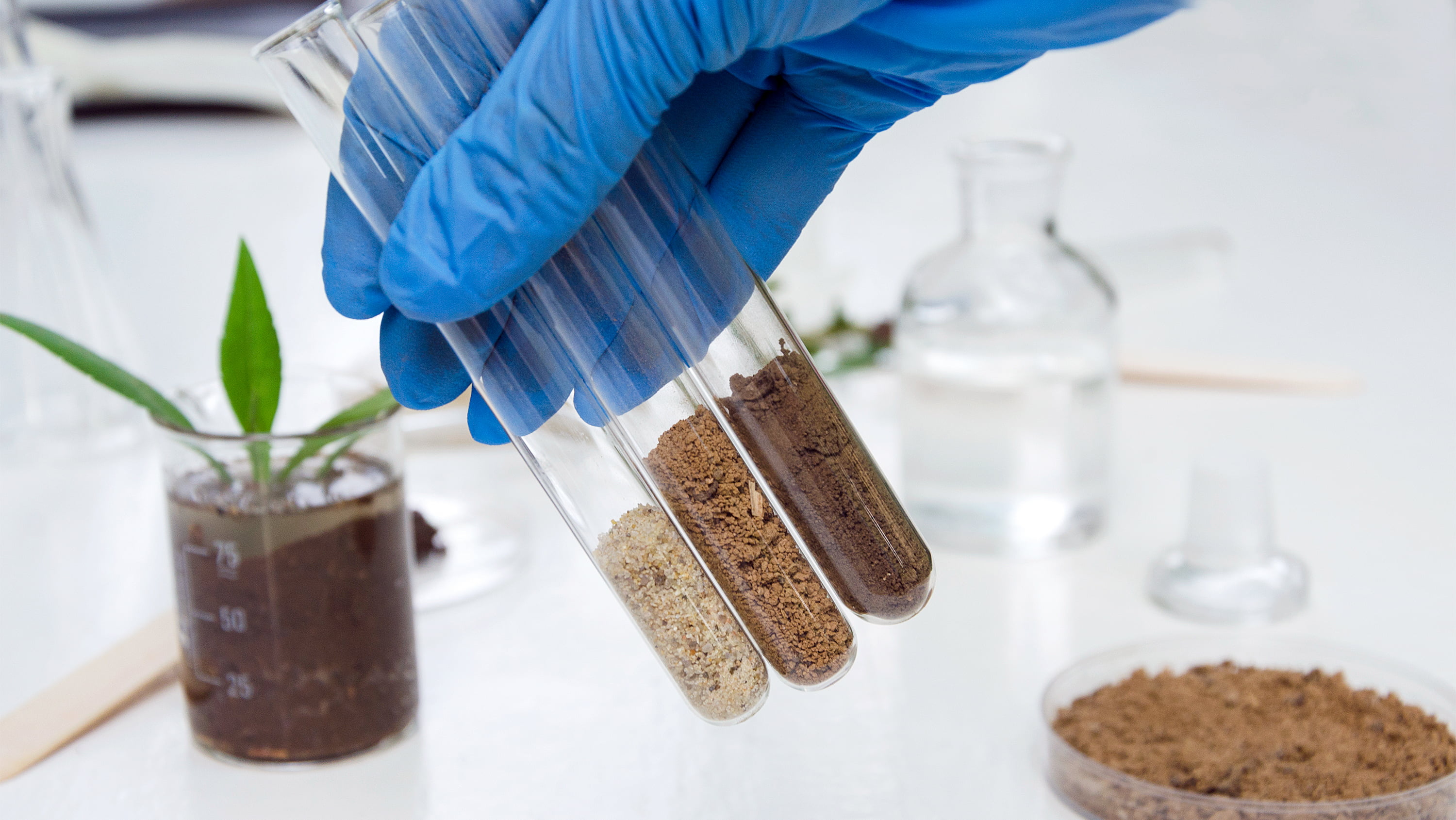 Glove-covered hand holds test tubes filled with soil. (Photo: Getty Images)