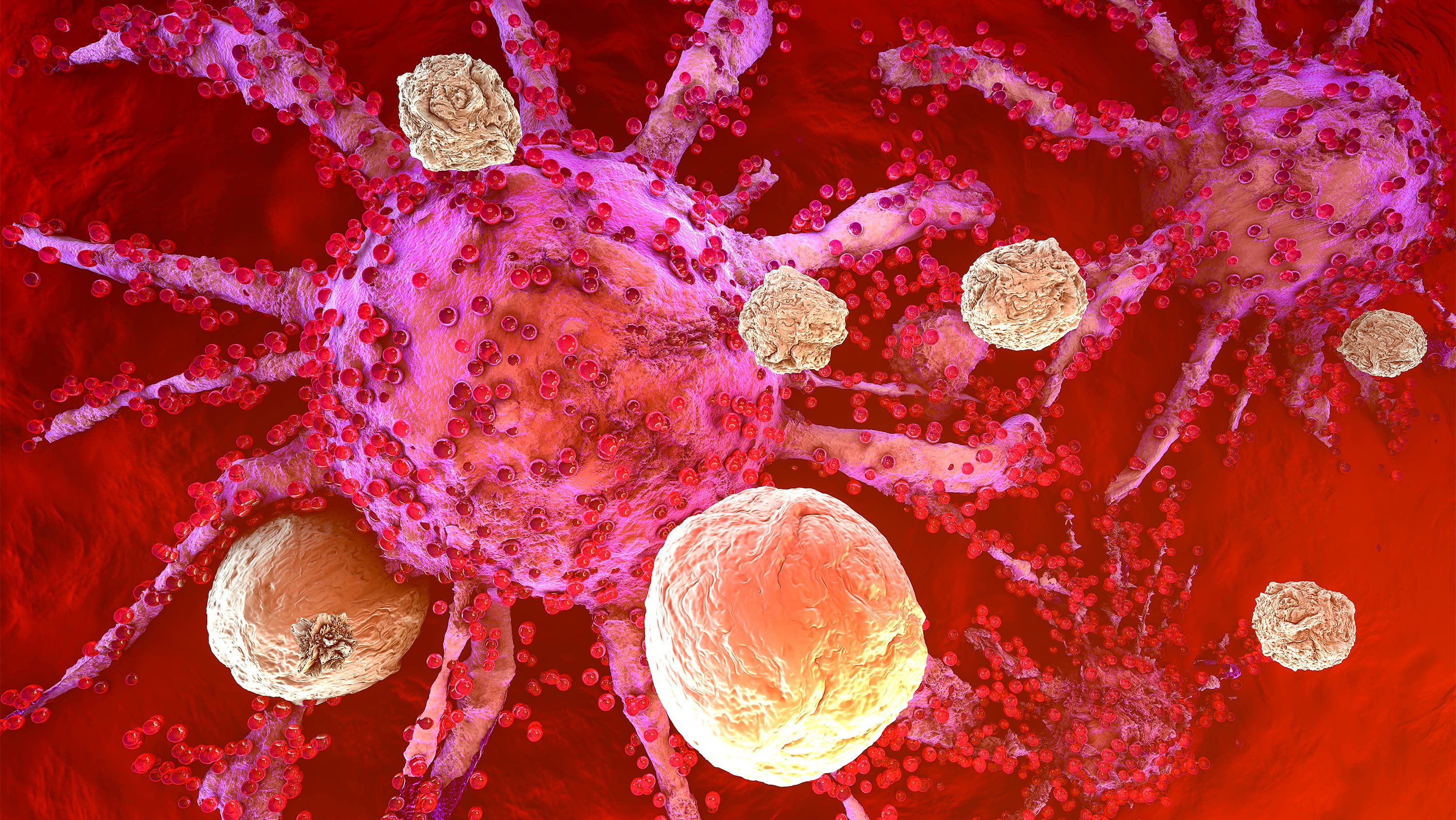 T-cells of the immune system attack growing cancer cells. (Photo: Getty Images)