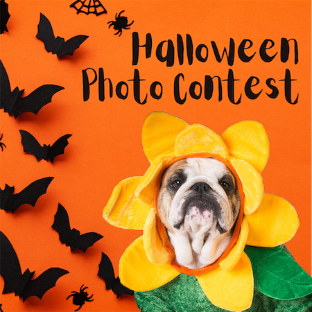 Halloween Photo Contest