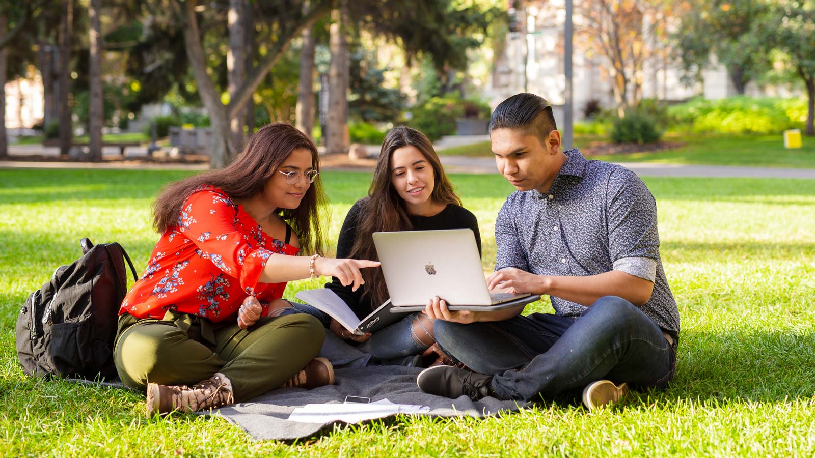 Three students studying on the grass