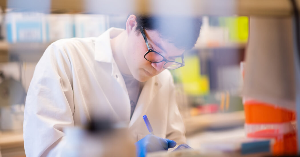 person working in a lab