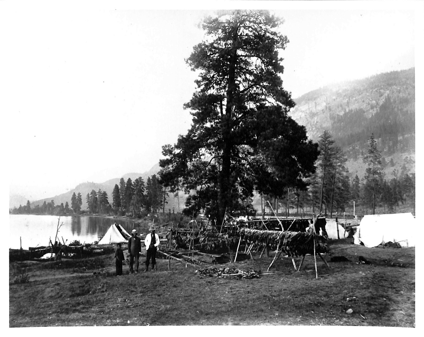 shuswap-first-nations-drying-beaver-pelts-on-shuswap-lake-british-columbia-ca-1883.jpg