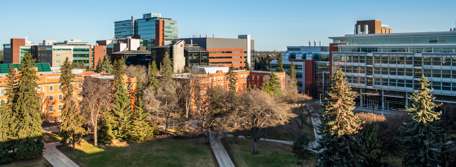 The Quad at the U of A