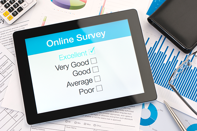 Web Surveys