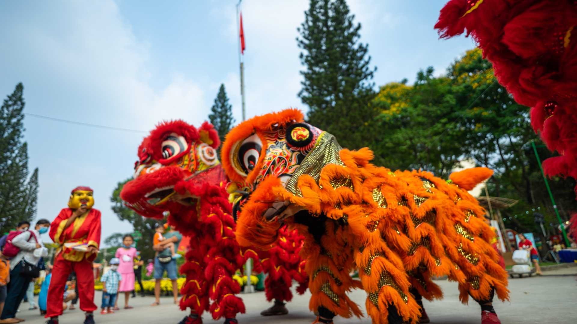 vietnam-lunar-new-year.png