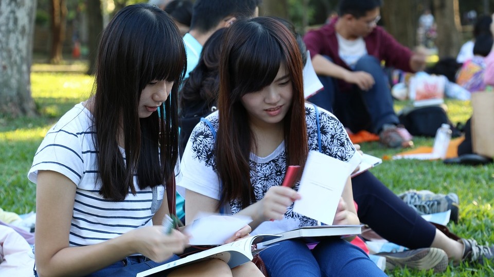 Students peruse viewbooks on the grass of Main Quad.