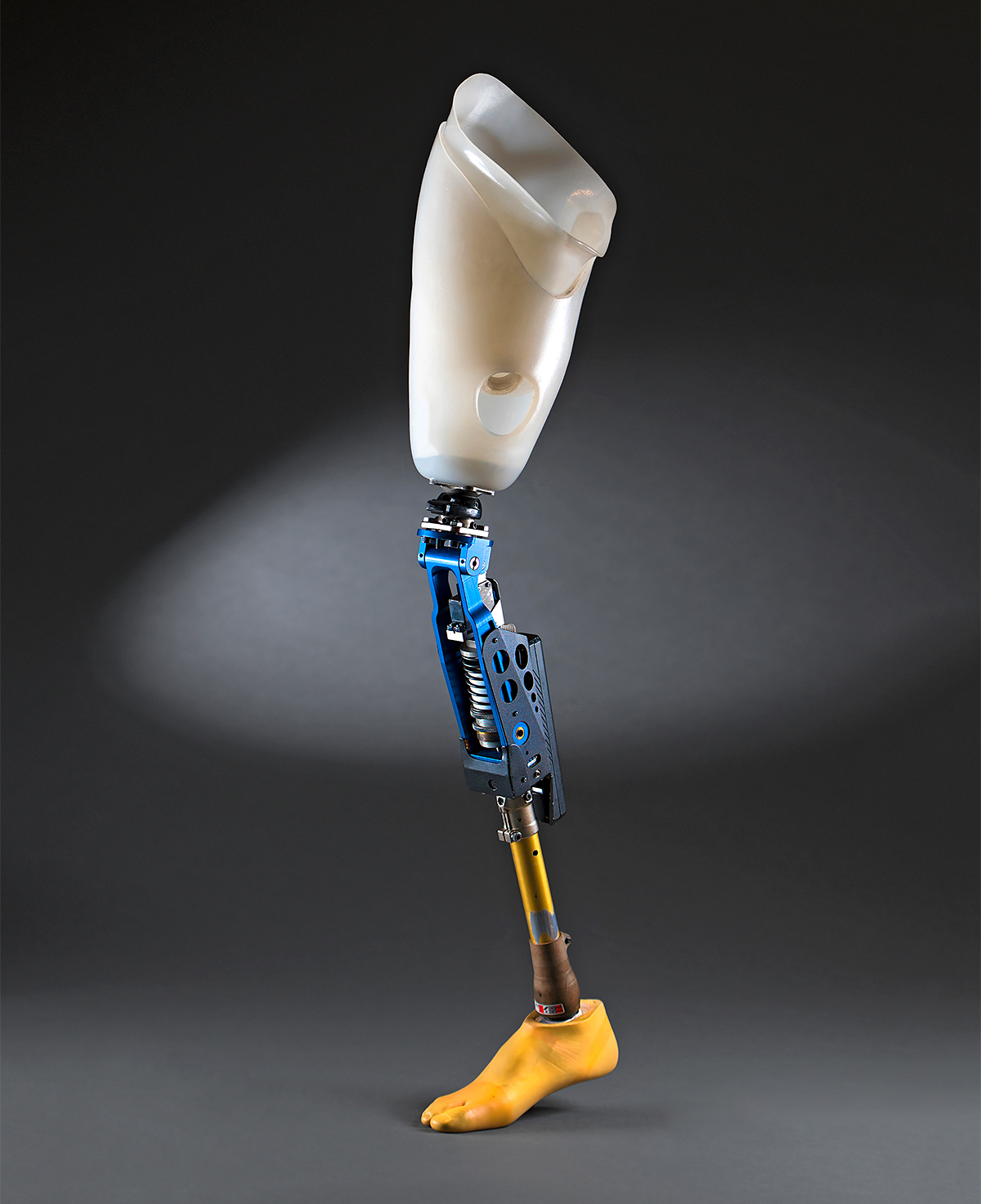 copy-of-objects-c-leg-1200.jpg