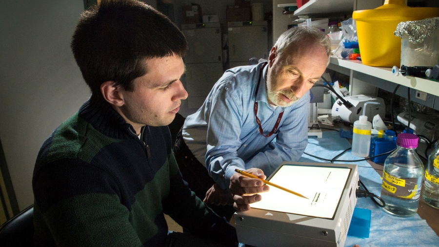 David Westaway works with post-doctoral fellow Charles E Mays