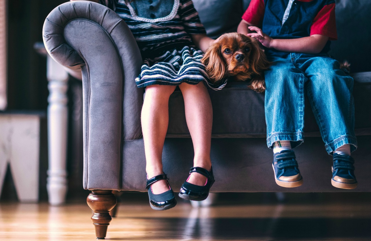 Two children with a dog on a couch