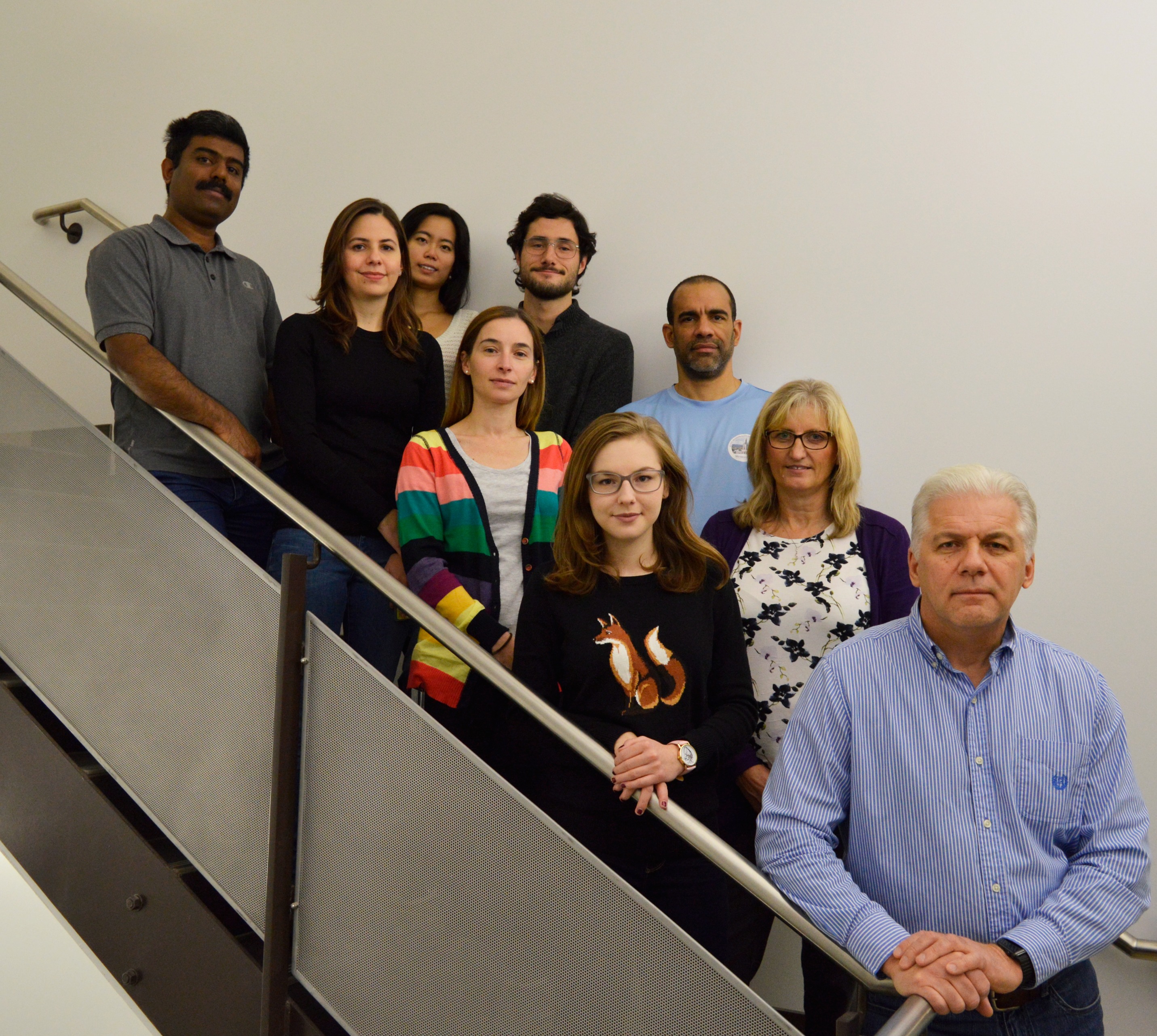 Tom Hobman and team at the University of Alberta