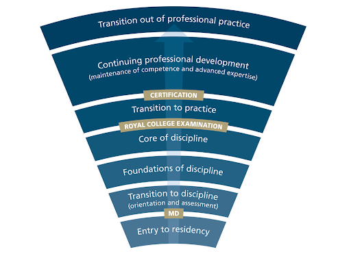 cbd_stages_of-_training.png