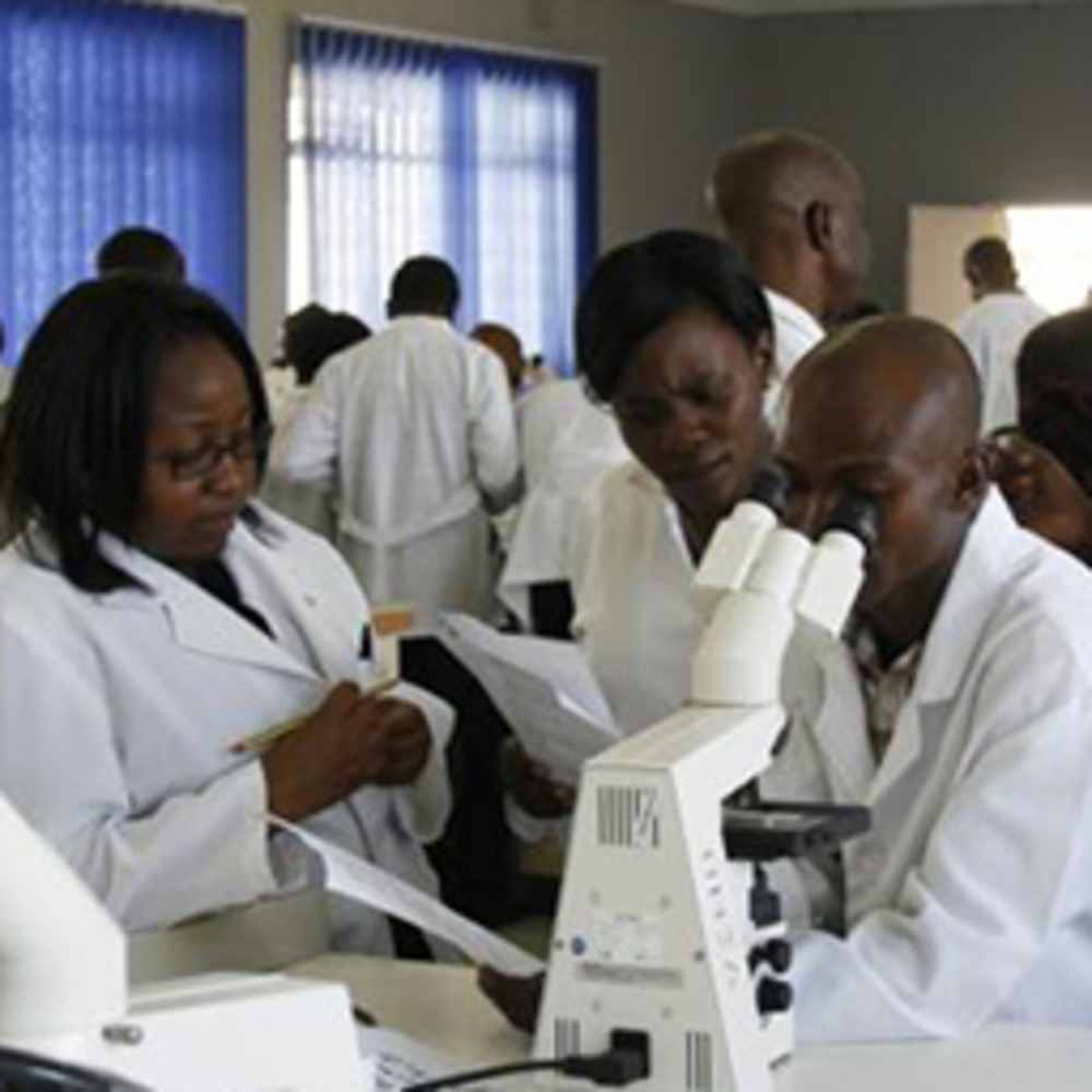 Researchers in the Global Health Program demonstrate lab techniques to students.