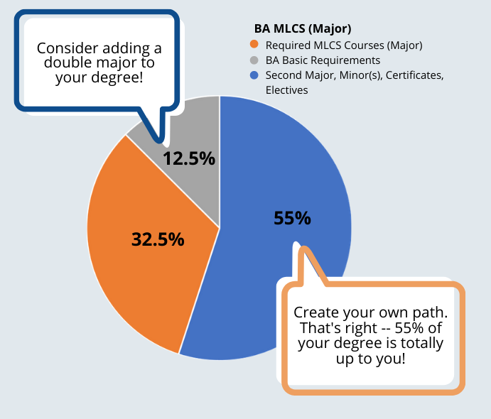 Modern Languages and Cultural Studies Major