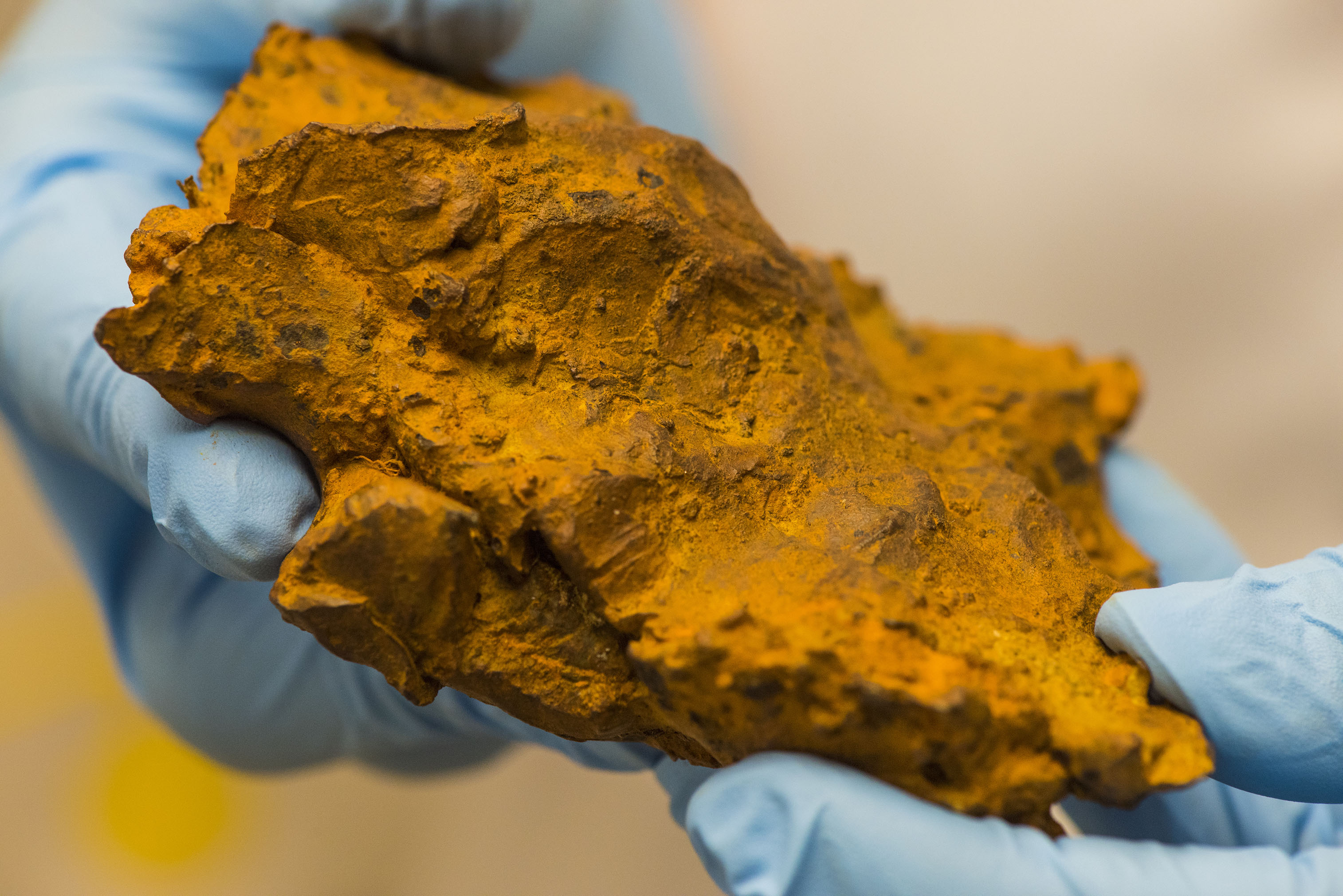 Two blue gloved hands hold a large, jagged, meteorite sample.