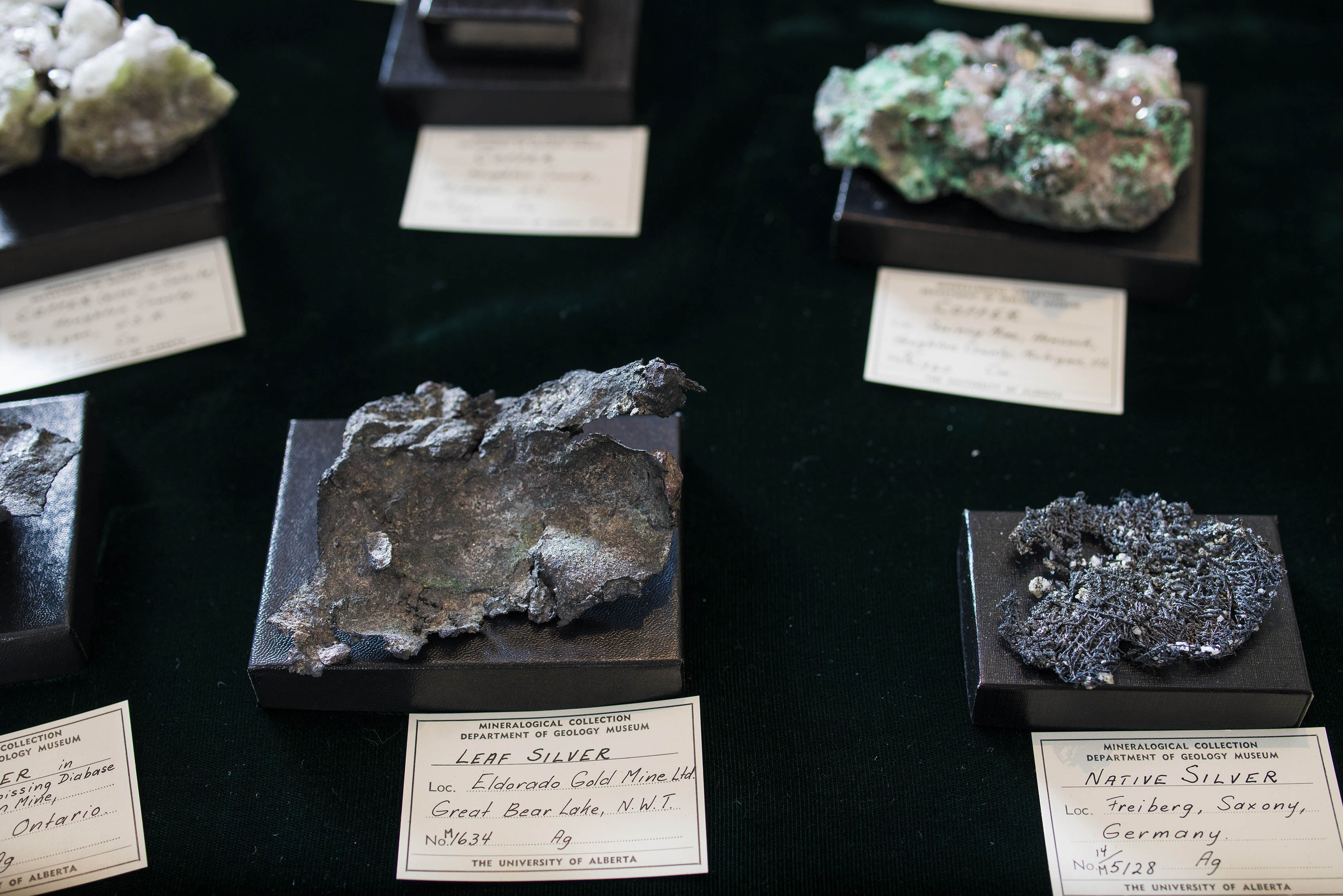 Small rigid, rock-like specimens placed on black square pedestals with a white identification card in front of each.