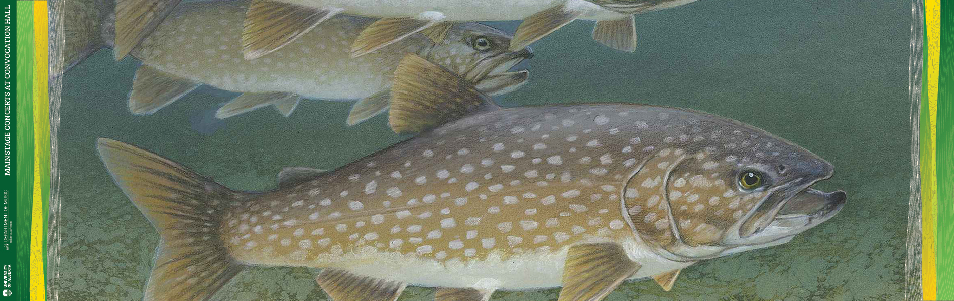 Watercolour illustration of brownish grey coloured lake trout with white spots on a brackish green blue background