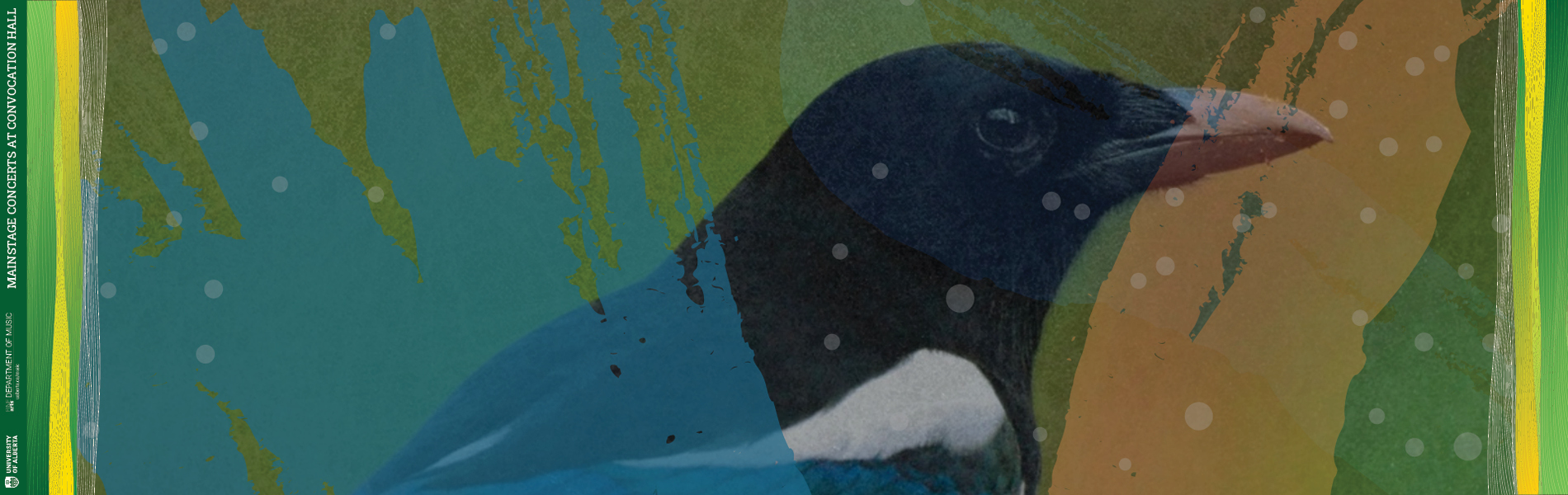 Illustration of a magpie with black and white feathers on a multicoloured blue, green and baige background. Text read: Mainstage Concerts at Convocation Hall