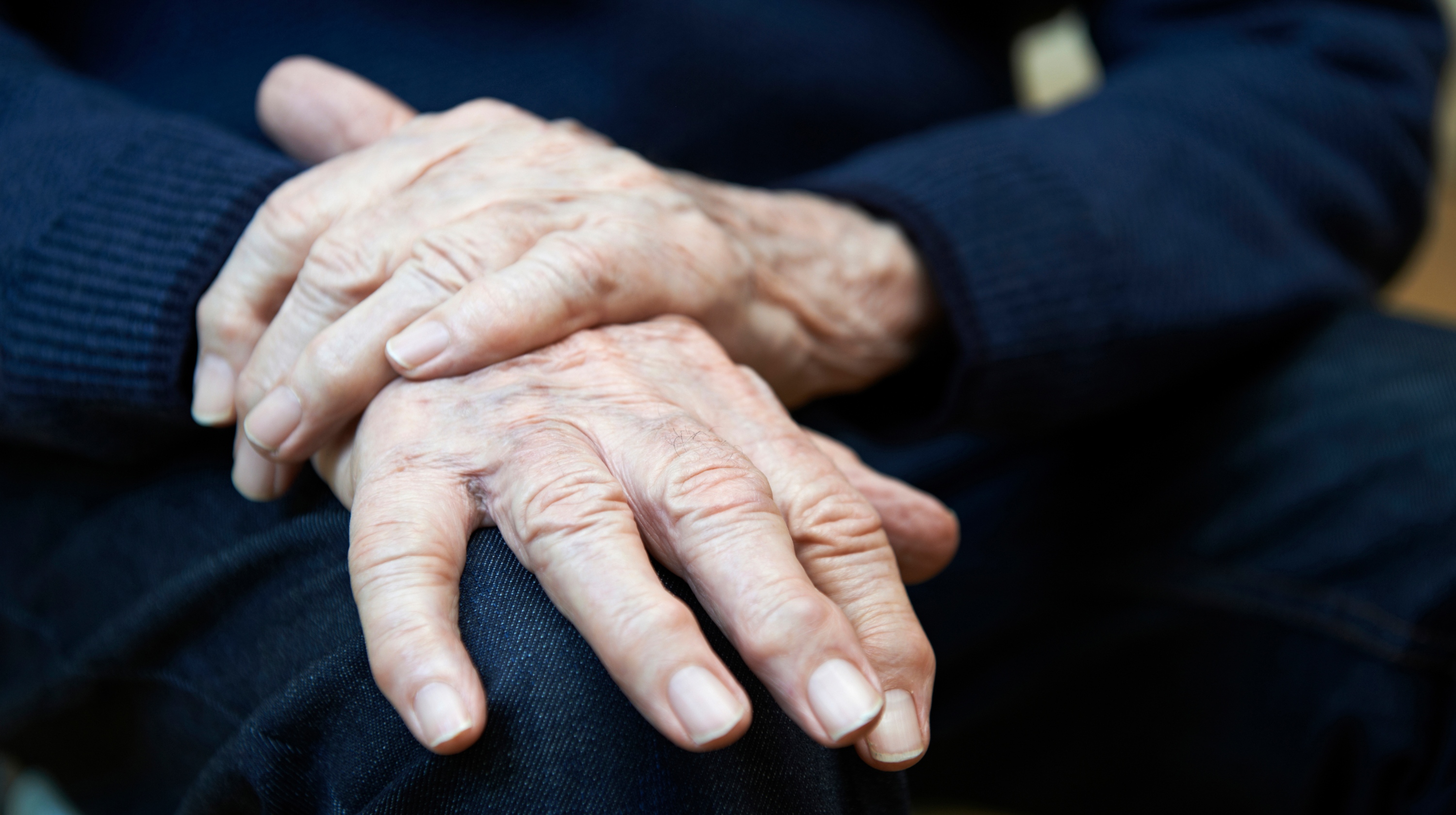 photo of person's hands