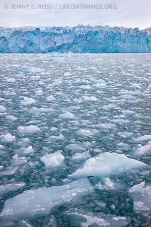 Ice floes in the Arctic