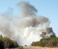 22,000 hectares of land were consumed by the wildfire