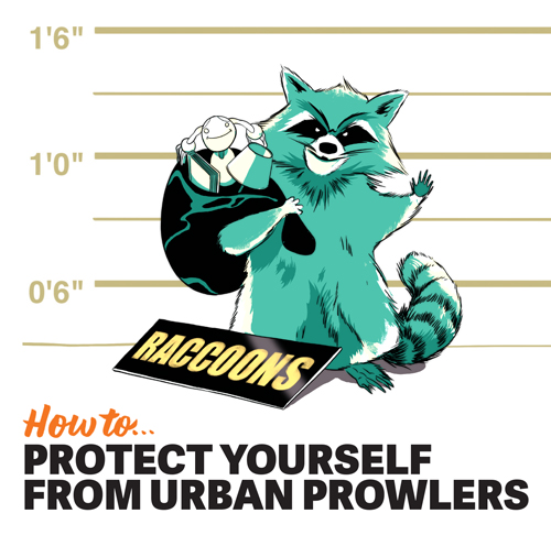 How to protect yourself from urban prowlers