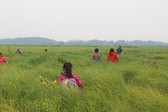 Youth Recreation Beaver First Nation