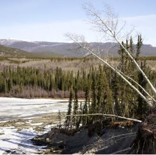 permafrost landscape 