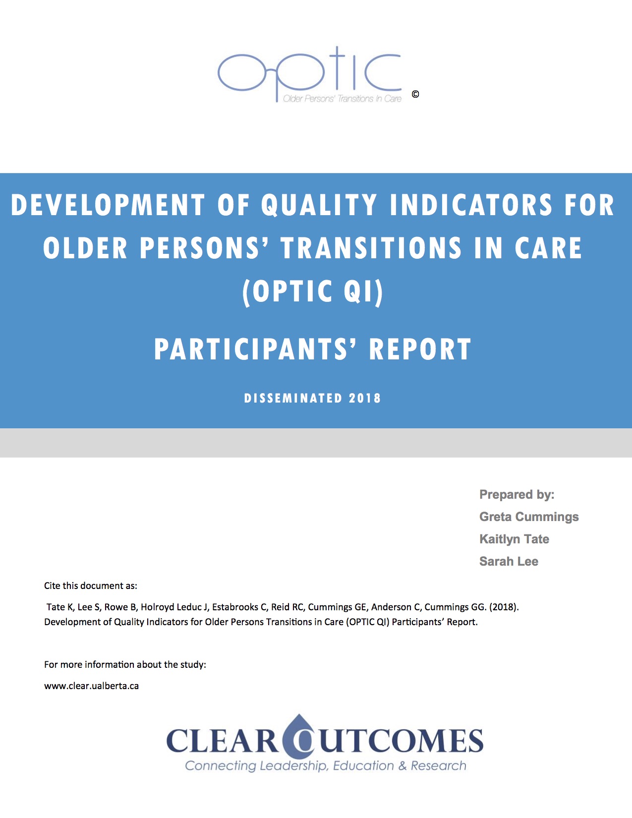 OPTIC QI final report