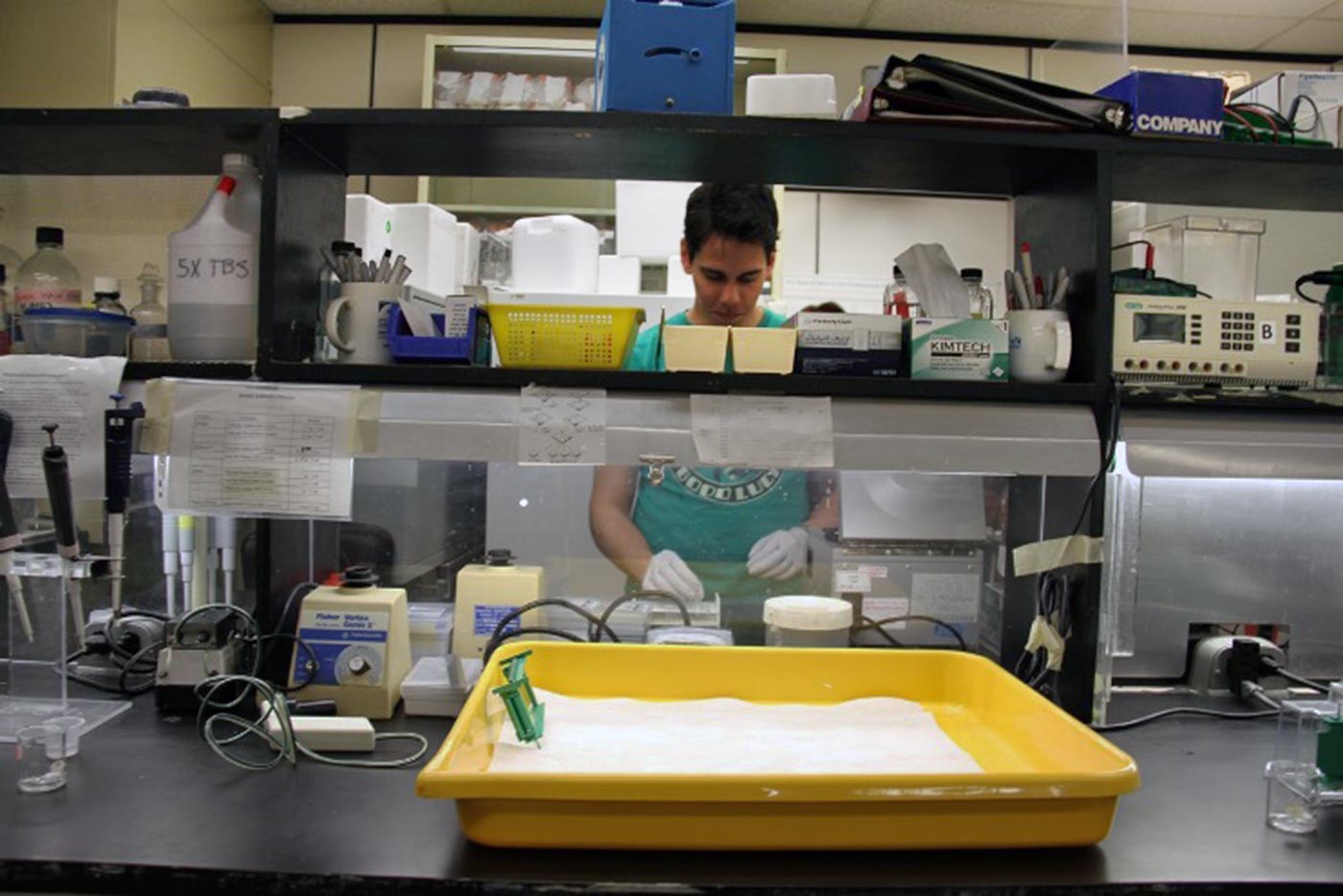 Grad student doing research in a lab