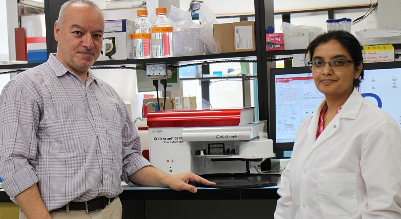 U of A researchers Hasan Uludag (left) and Bindu Thapa are part of a team that developed a chemical compound that prompts cells to begin producing a protein that has been proven to kill tumour cells. Their study shows the combination of the compound and protein is more effective than the protein alone. (Photo: Daniel Schieman)