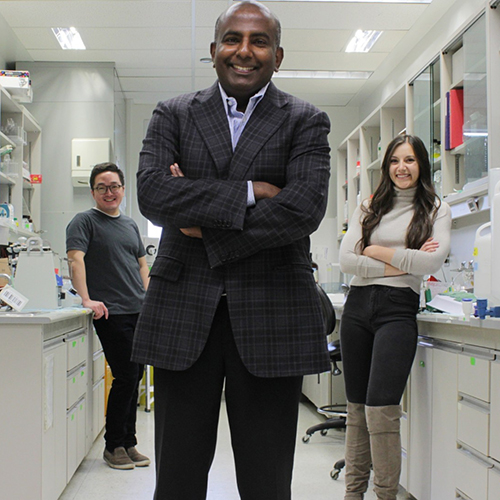 Gavin Oudit with PhD candidates Hao Zhang and Anissa Viveiros in lab