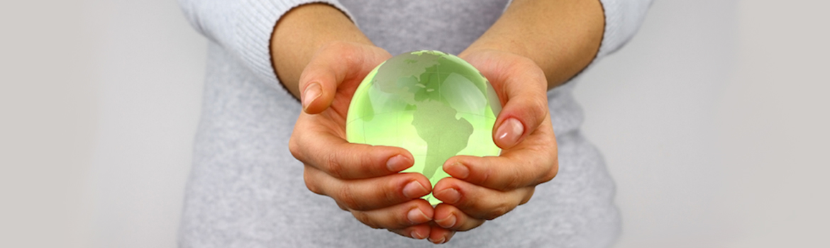 hands holding a globe