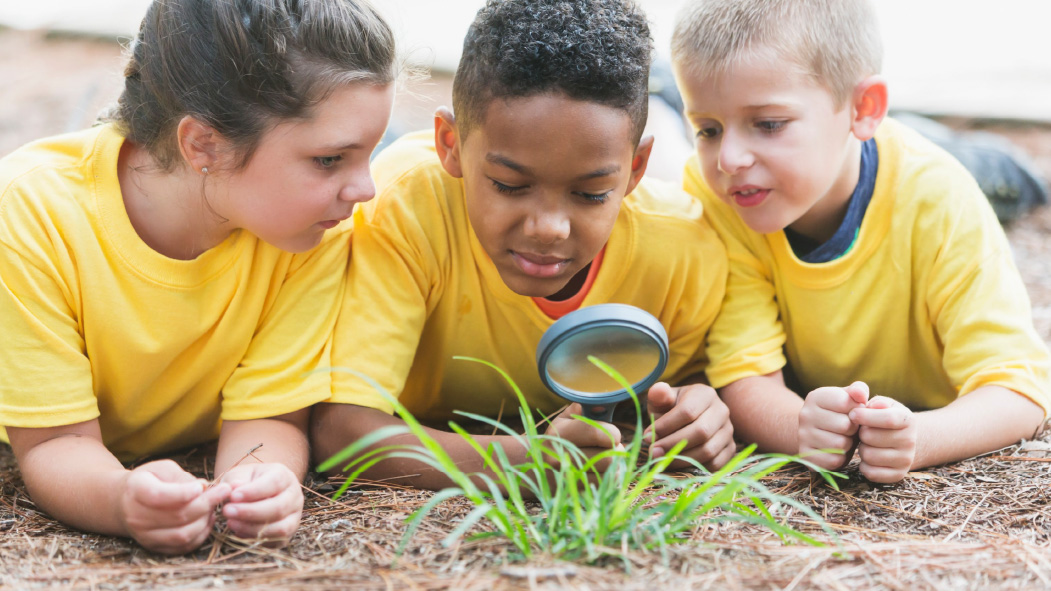 Three children playing and exploring outdoors.