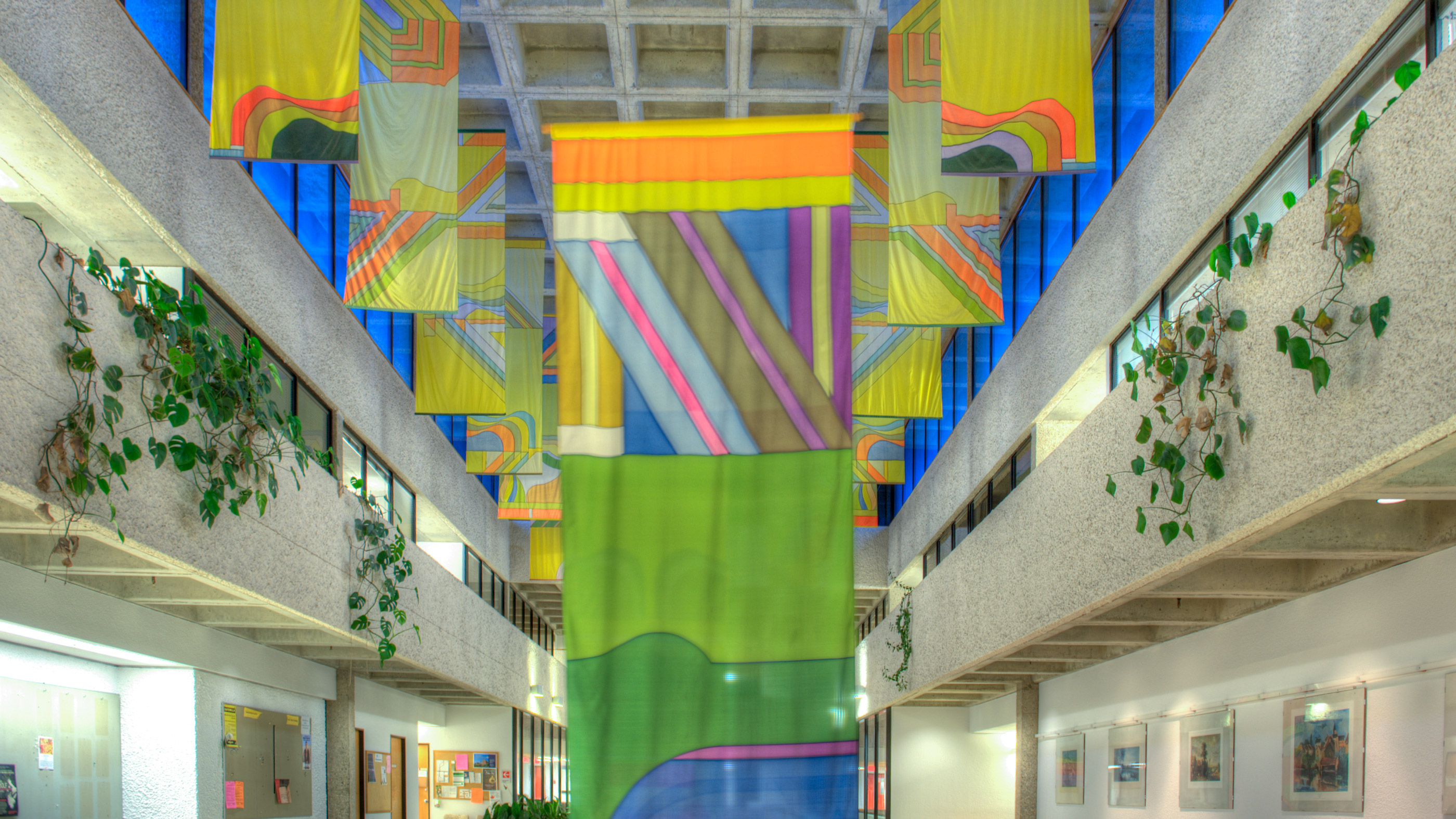 Flags in the Humanities Building