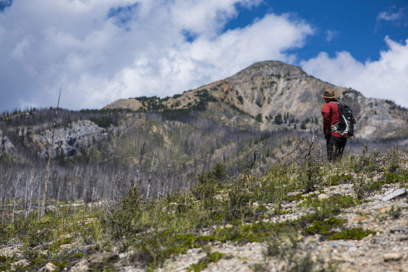 Person surveying a mountain landscape