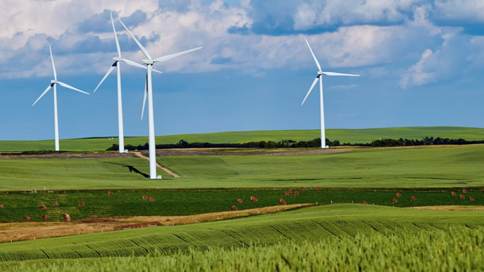 Landscape photo of a farm with wind turbines on it