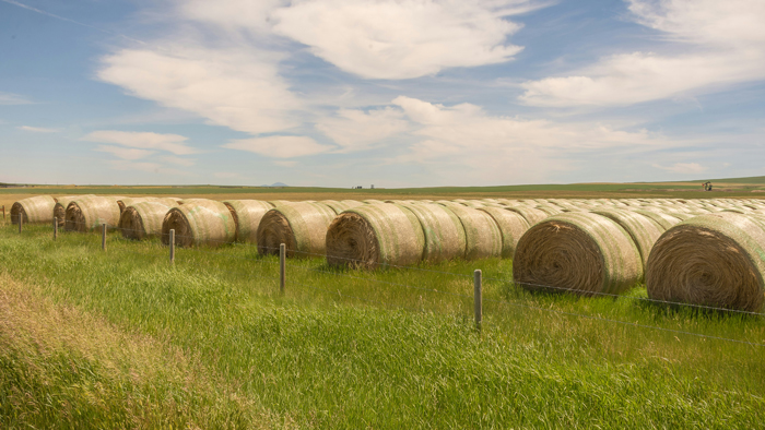 Landscape of a prairie farm with bales