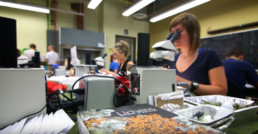 Wideshot of a biological sciences lab. Young woman in the foreground is looking through a microscope.