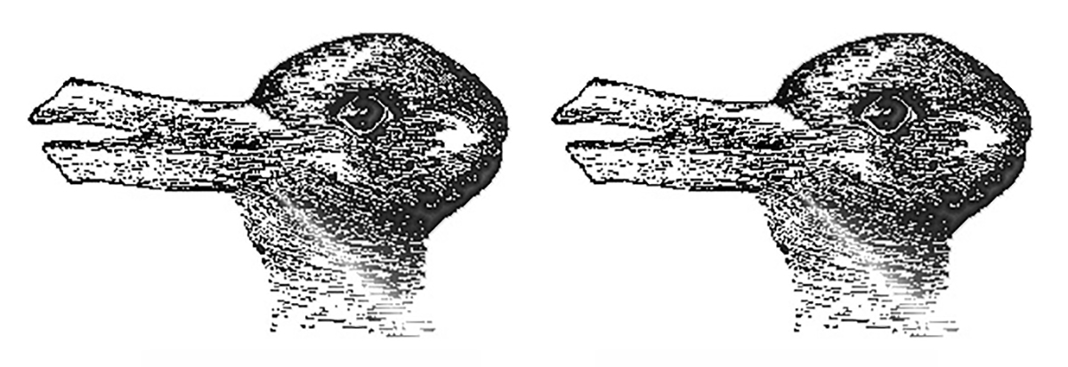 Optical illusion that can appear as a duck or a rabbit depending on how one looks at it. 